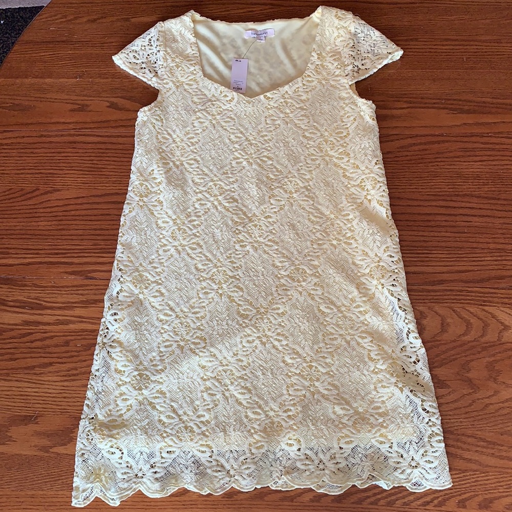 Francesca's Small Yellow Shift Dress